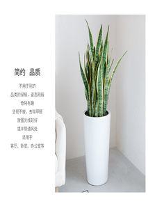 宁波海曙花卉出租专业,开启绿植租赁新篇><div class=